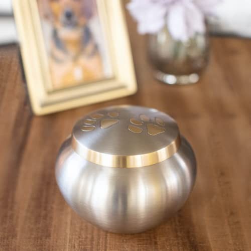 Silverlight Urns Paw Print Round Pet Cremation Urn For Ashes In Pewter – Medium