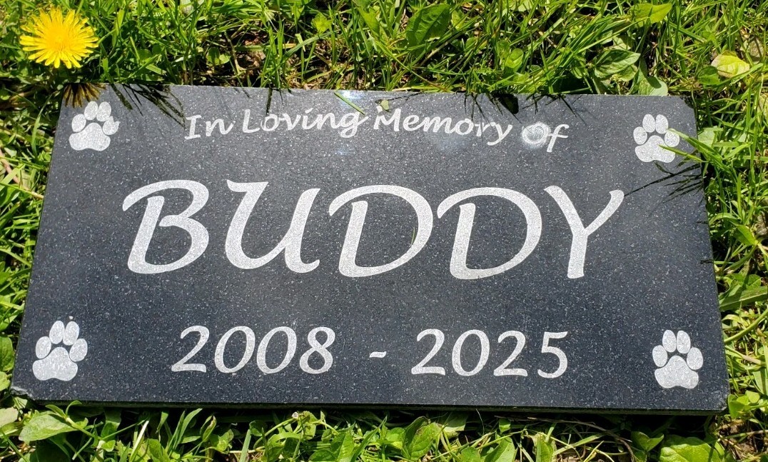 Pet Memorial Grave Marker Headstone Garden Plaque Dog Granite Cemetary Stone t12