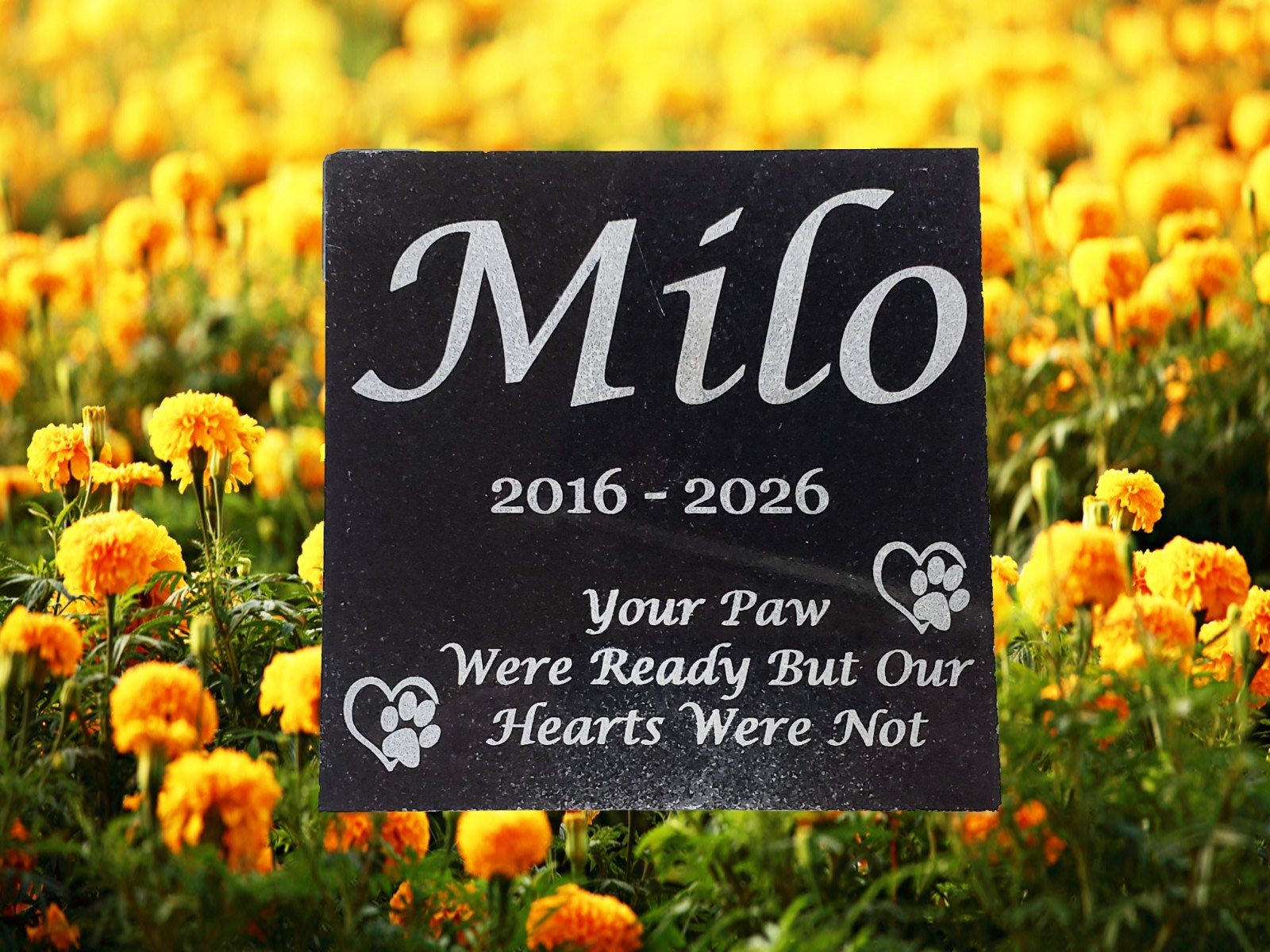 Grave Marker Headstone Garden Pet Loss Memorial Burial Granite Stone Plaque d12