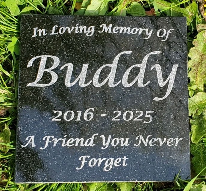 Pet Memorial Granite Stone Engraved Grave Marker Headstone Garden Plaque d6