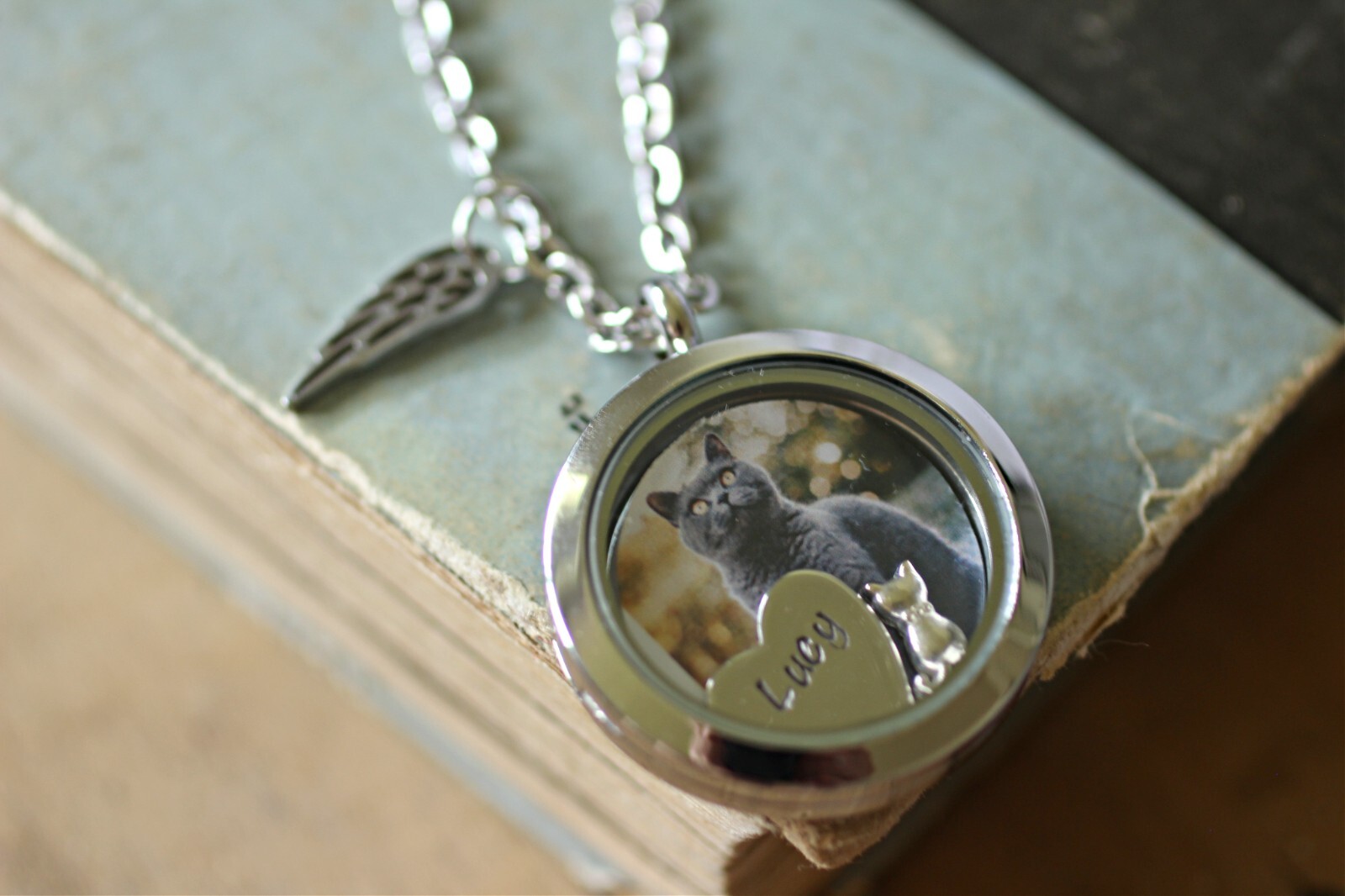 Cat Memorial Necklace, Locket Necklace with A Photo, Cat Fur Keepsake Locket