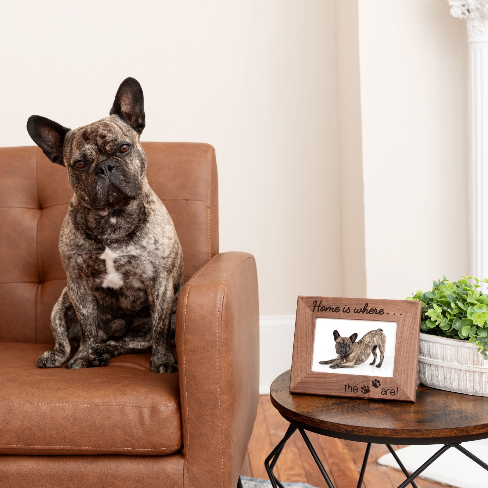 Personalized Pet Picture Frame, Genuine Walnut Pet Photo Frame 4×6, Pet Picture