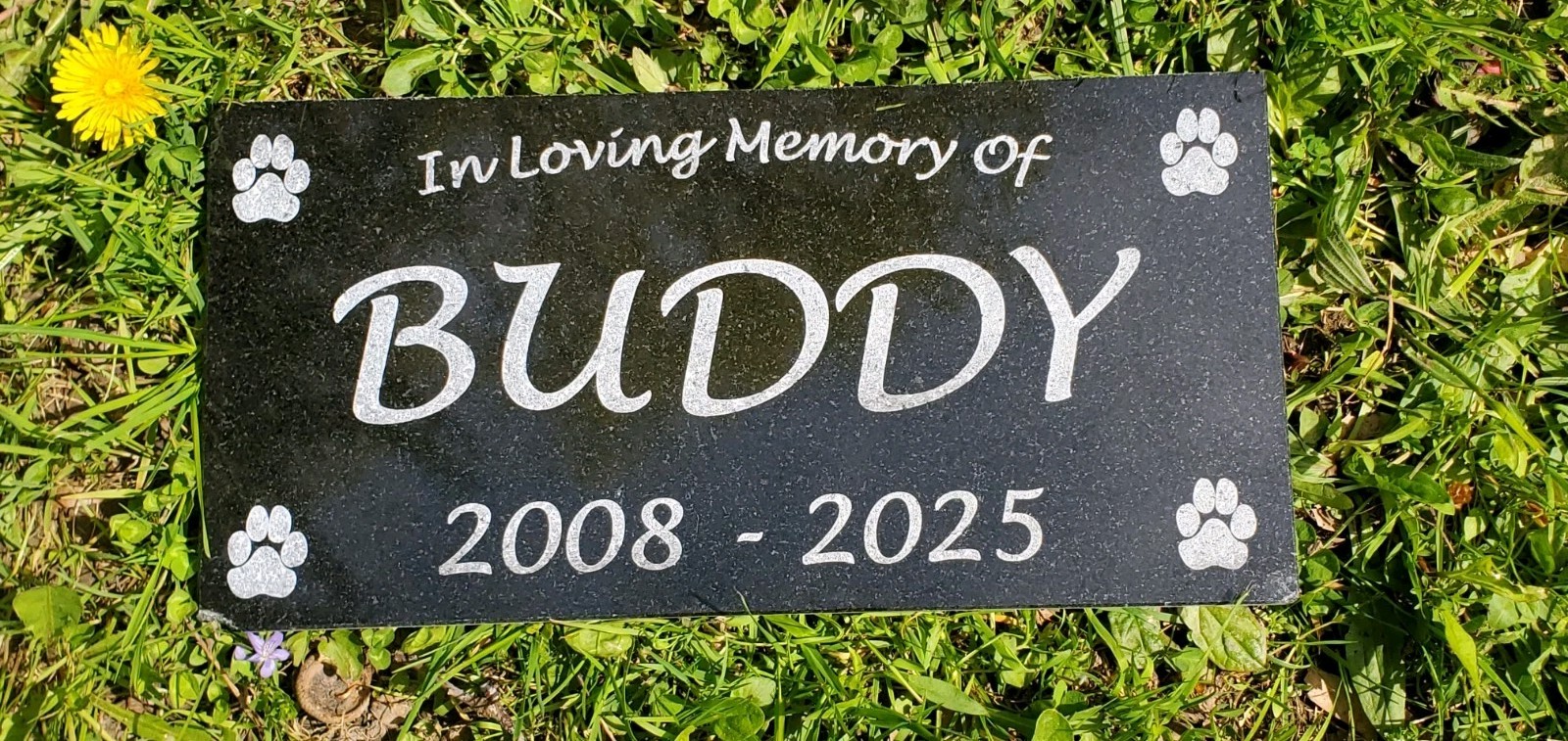 Pet Memorial Grave Marker Headstone Garden Plaque Dog Granite Cemetary Stone t12