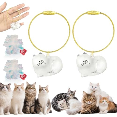 Cat Hair Keychain, 2Pcs Cat Hair Storage Bottle，Pet Fur Keepsake,Pet Hair