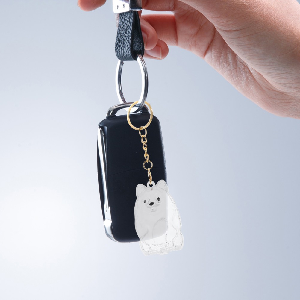 2 Pcs Transparent Dog Keepsake Box Portable Pet Hair Keychain Charms Keyring