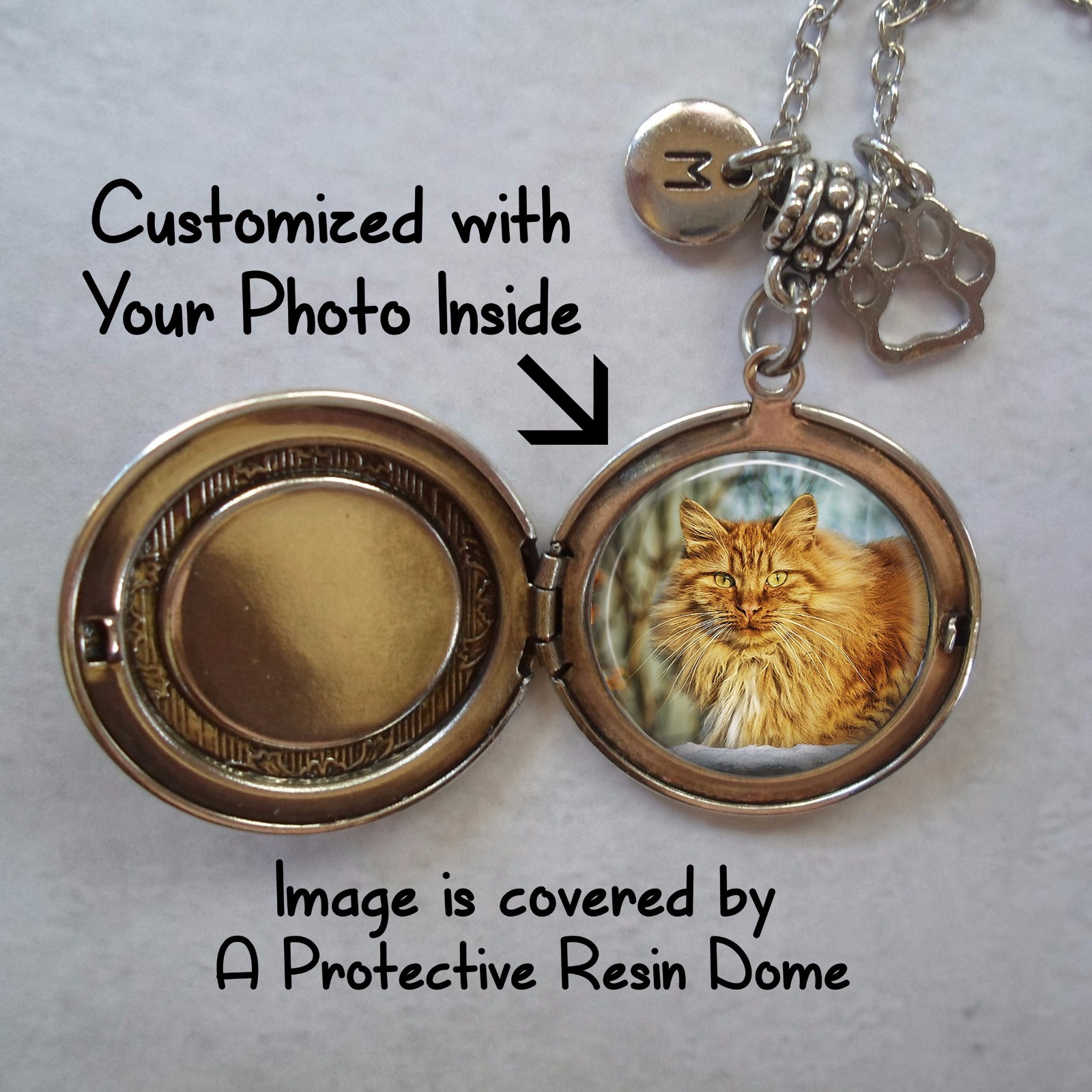 No longer by my side but forever in my Heart, Pet Memorial Locket w-Your Photo