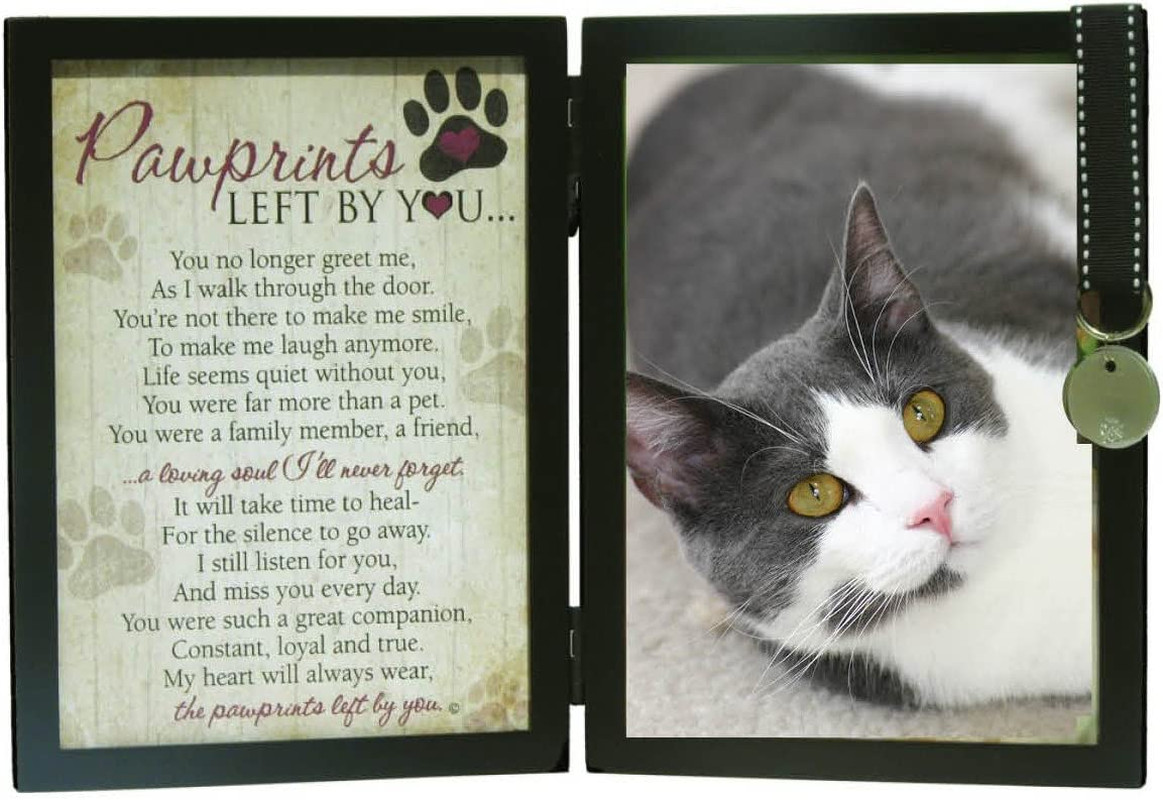 Pawprints Left by You Memorial 5X7 Frame for Cat with Pet Tag – Thoughtful Cat M