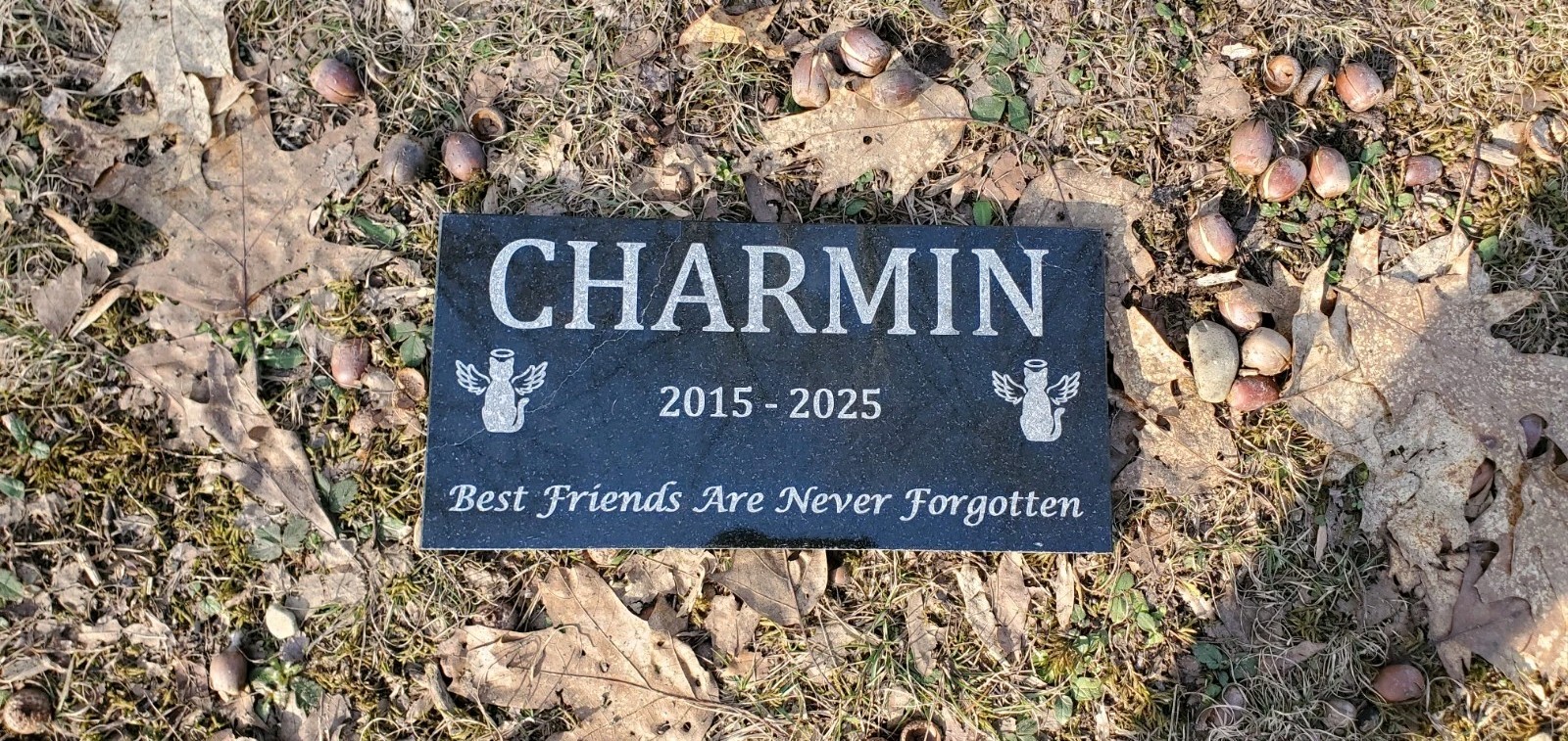 Cat Pet Memorial Granite Stone Engraved Grave Marker Headstone Garden Plaque t8