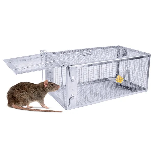 2 Pack Rat Trap Cage Humane Live Rodent Trap Cage Galvanized Iron Mice Mouse Con