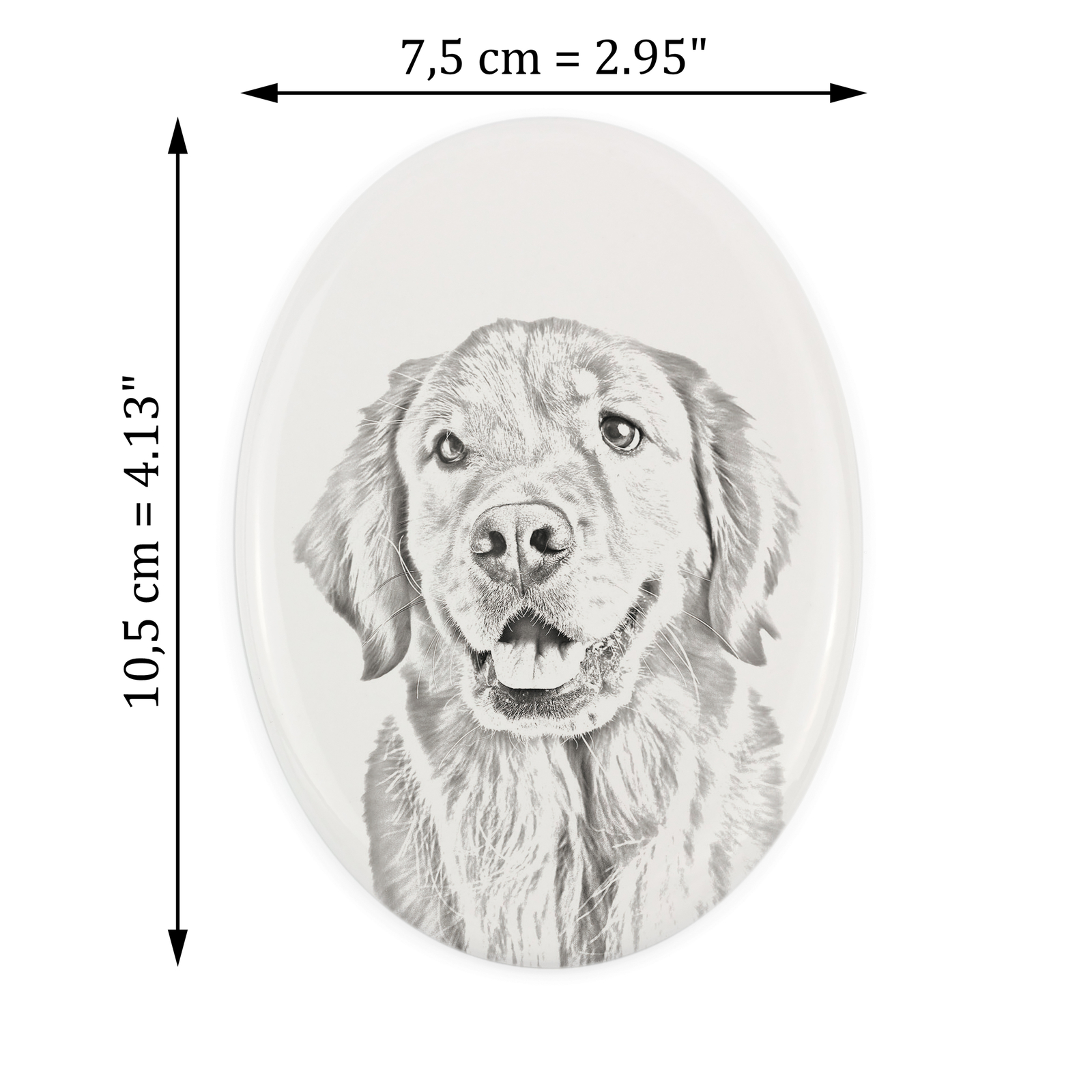 Golden Retriever Grave Plate With A Photo Of A Dog Art-Dog