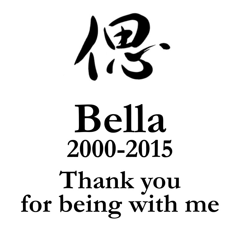 [Made in Japan · Pet Memorial Stone] Type TSP | Natural Black Granite