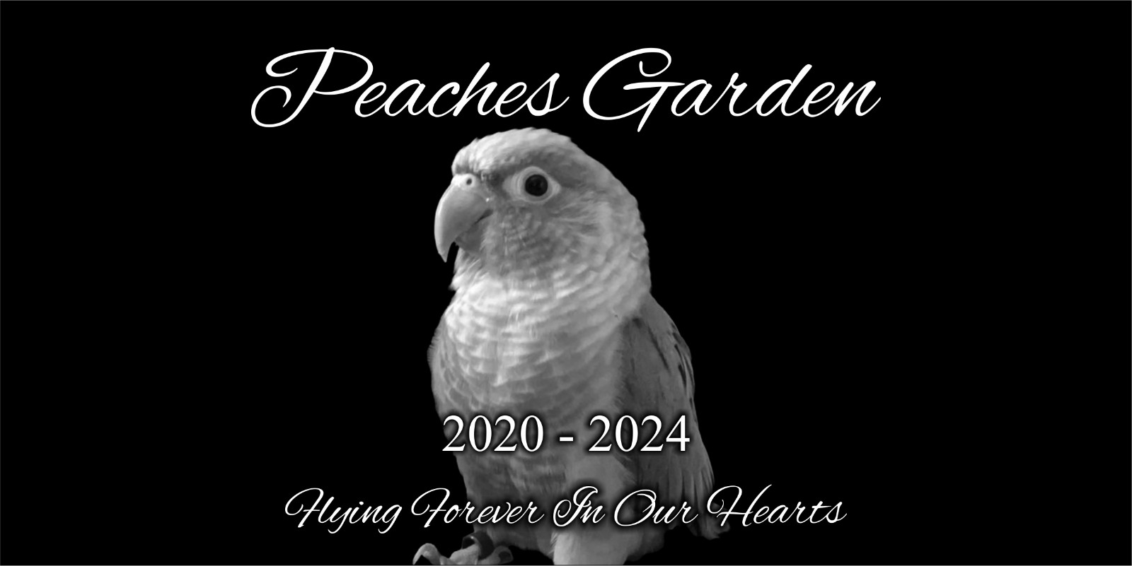Custom Stone Memorial Grave Marker Granite Plaque Human headstone dog cat