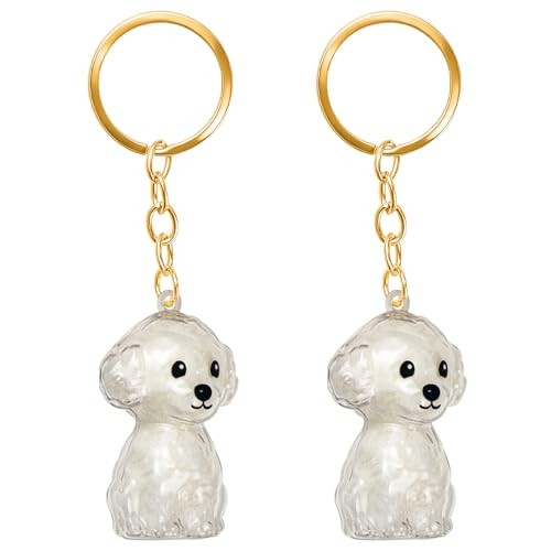 ELANE Dog Hair Keepsake – 2 Pack – Pet Memorial Keepsake – Clear – Toypoodle