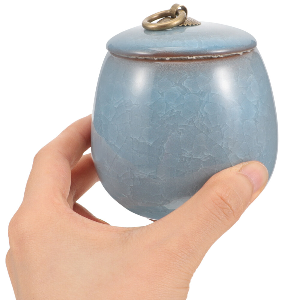 Pet Urns for Cats Blue Mini Keepsake Sympathy Ashes Storage