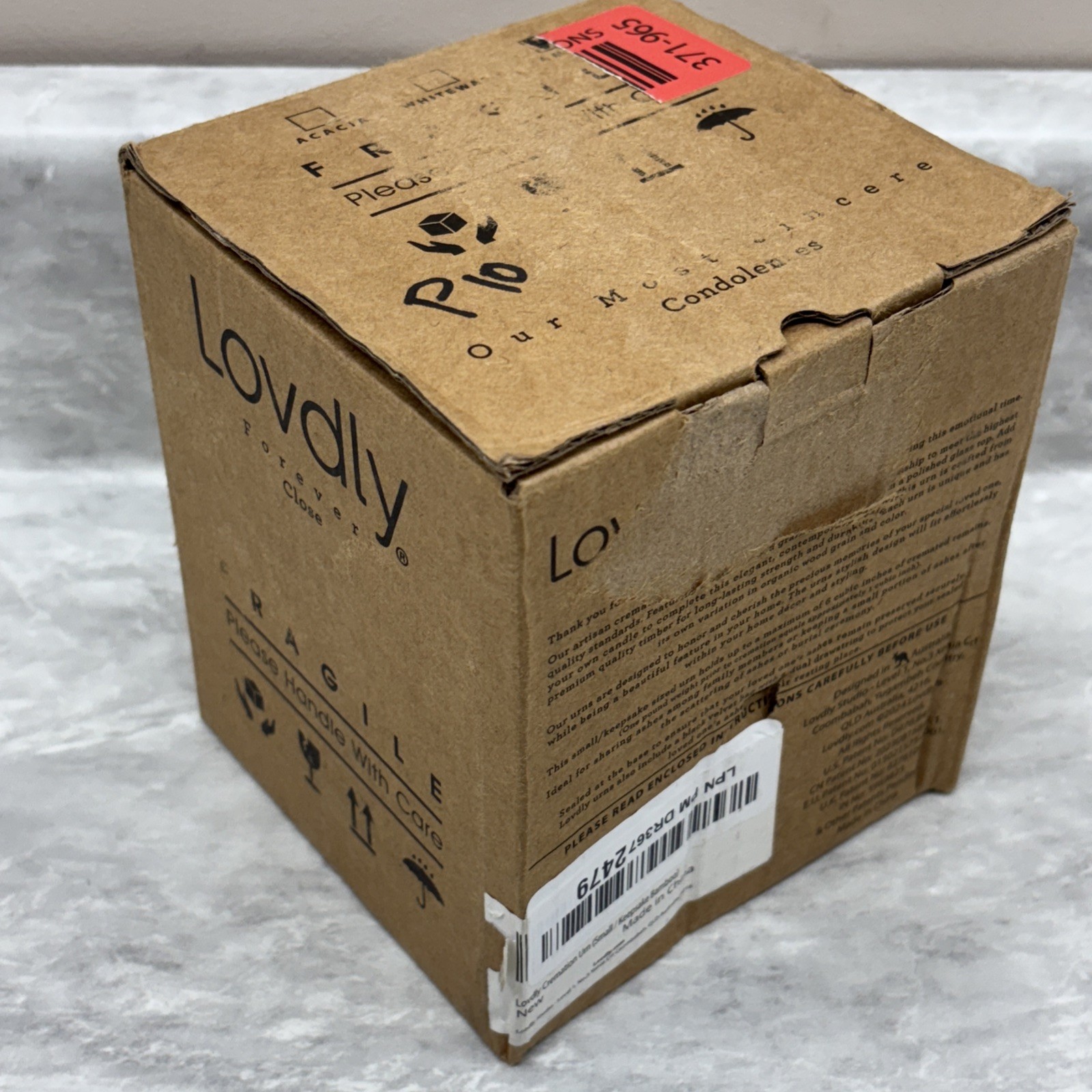 Cremation Urn for Human Ashes | Keepsake Urns for Adult & Pet Ashes | Decorat…