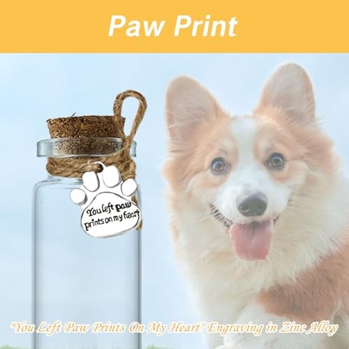 Hair Locket Keepsake for Pet Glass Vial – 1 PACK – Ashes or Cat Jar