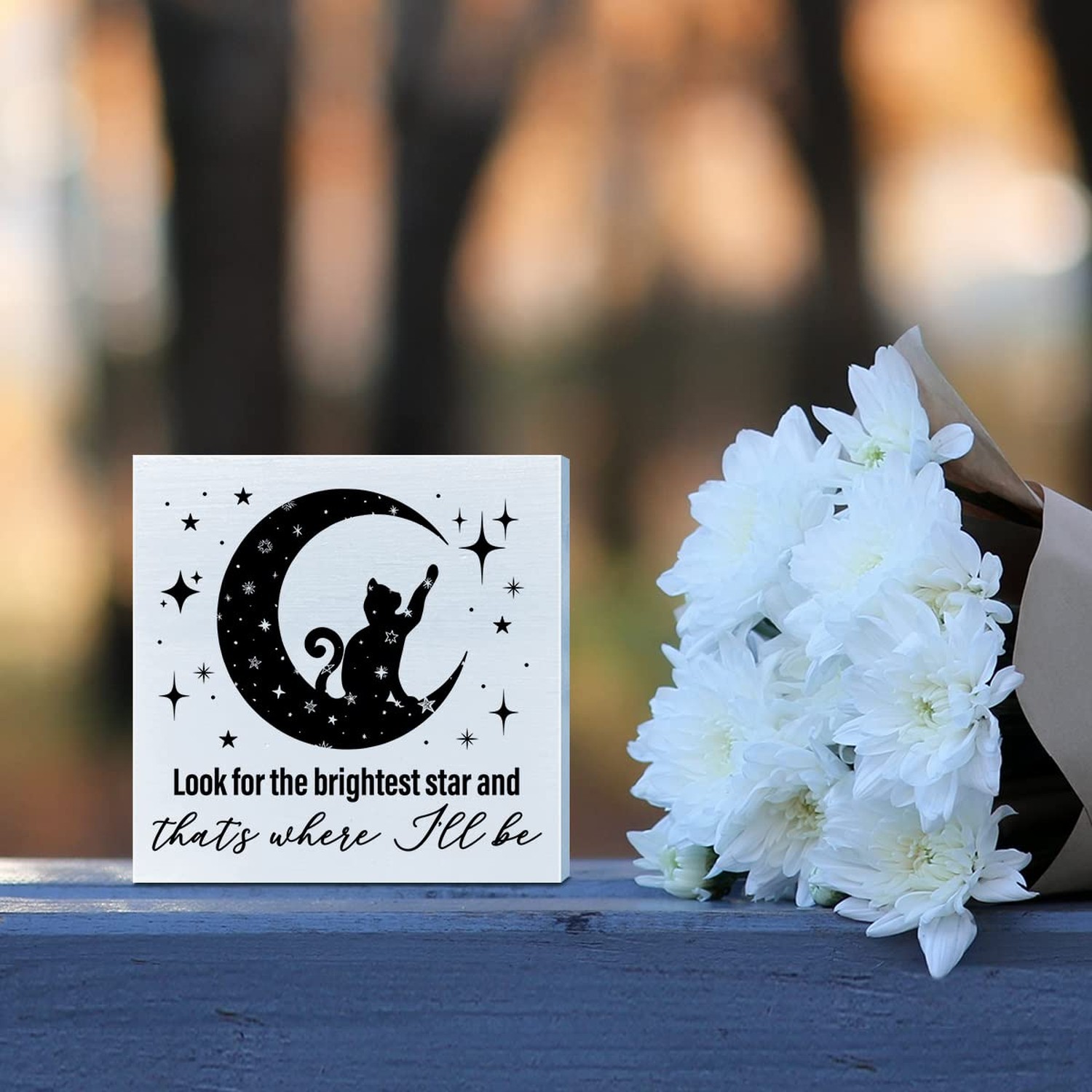 Memorial Gifts for Lose of Cat, Pet Sympathy Gifts Remembrance Gifts Loss of …