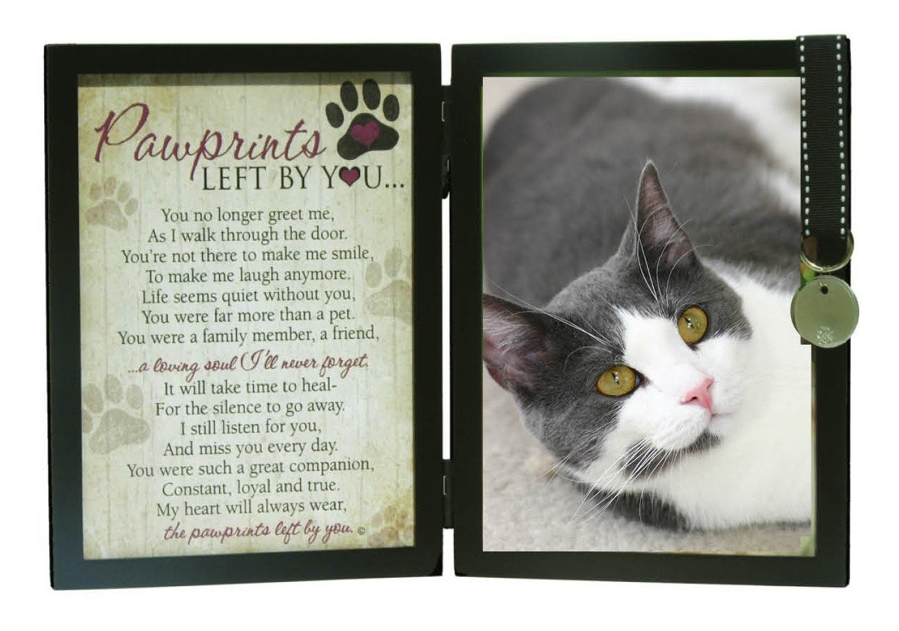 Pawprints Left By You Memorial 5×7 Frame for Cat with Pet Tag