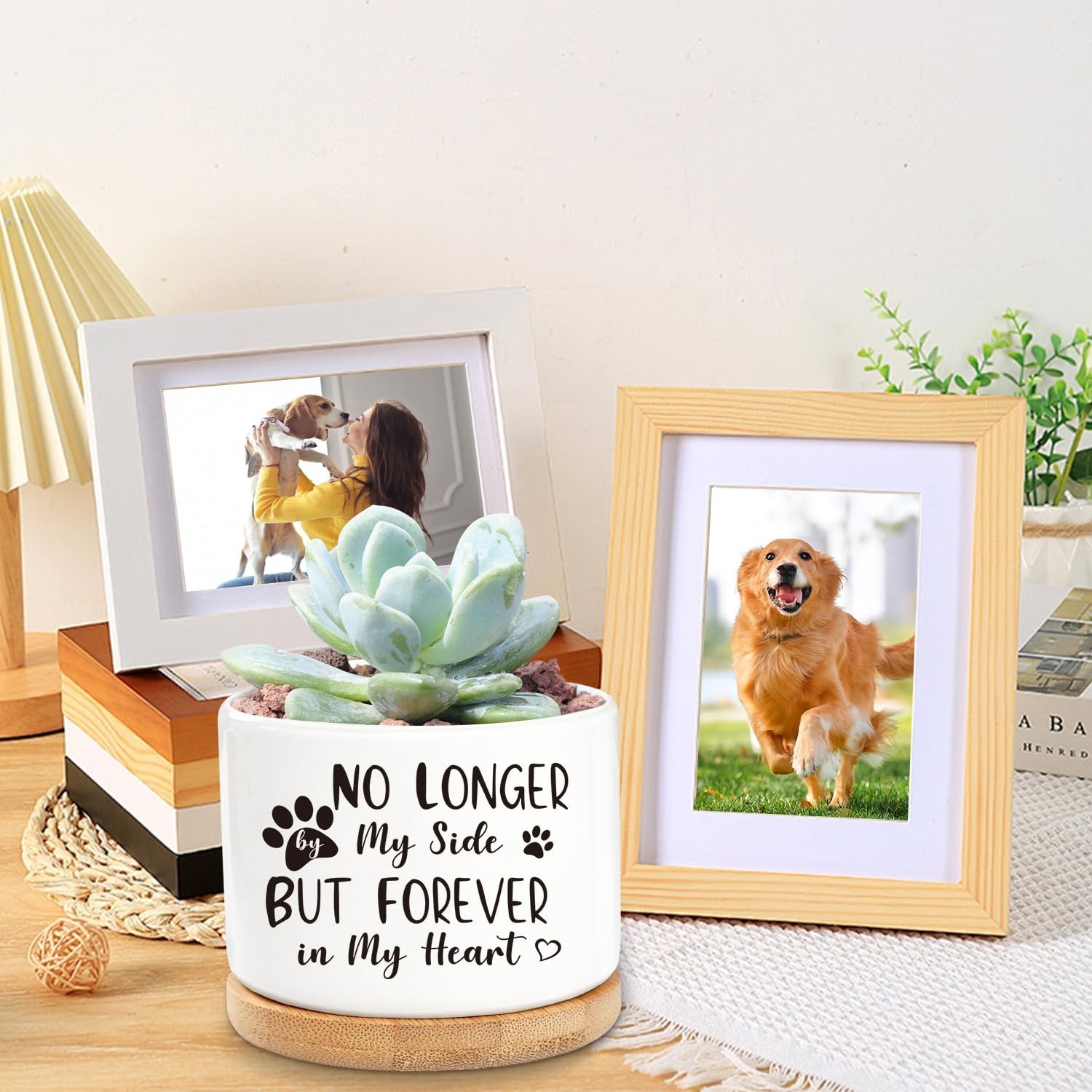 iAOVUEBY Dog Memorial Gifts for Loss of Dog, Loss of Dog Sympathy Gift Basket…