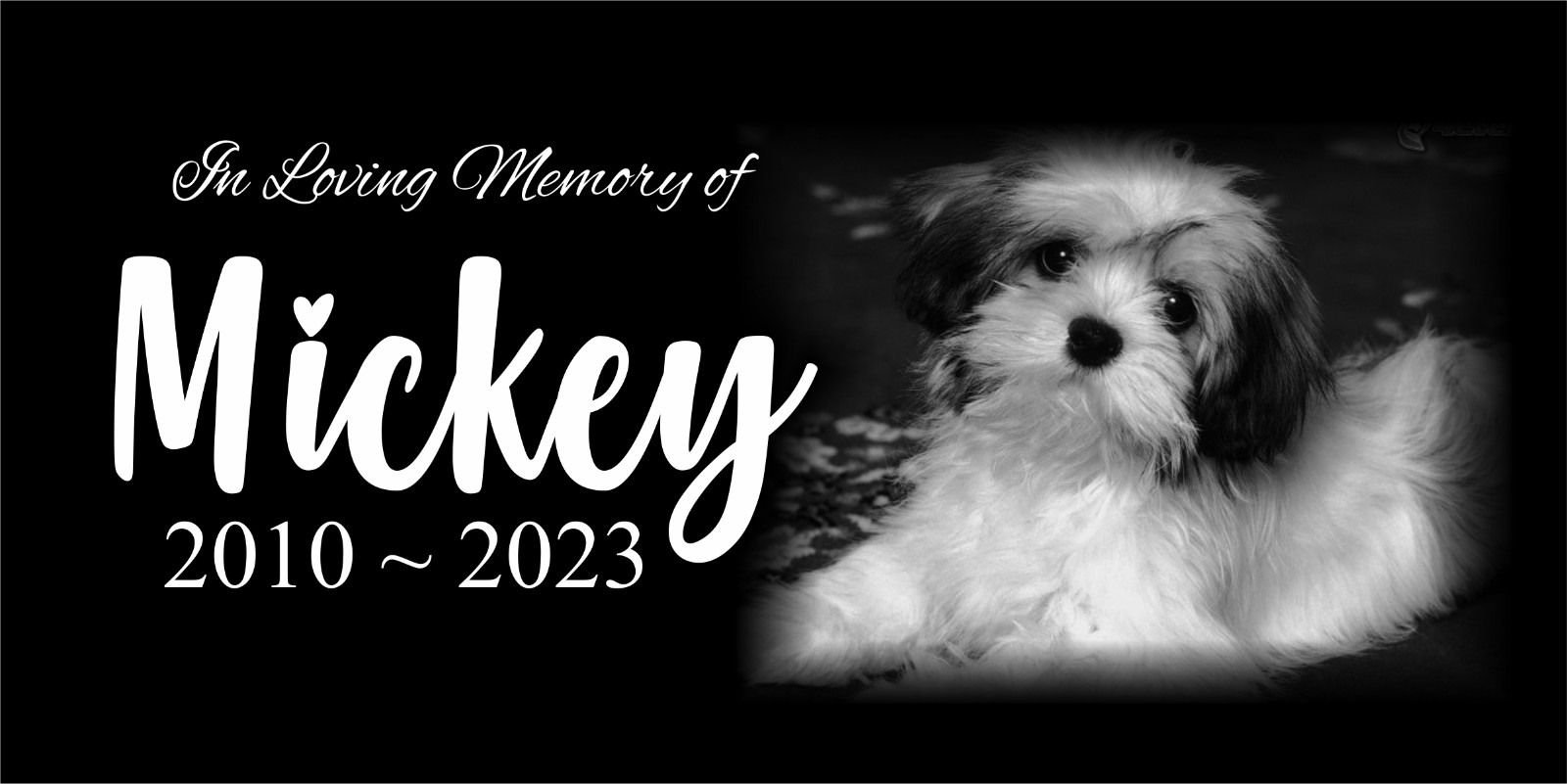 Personalized Pet Stone Memorial Grave Marker Granite Plaque Human headstone dog