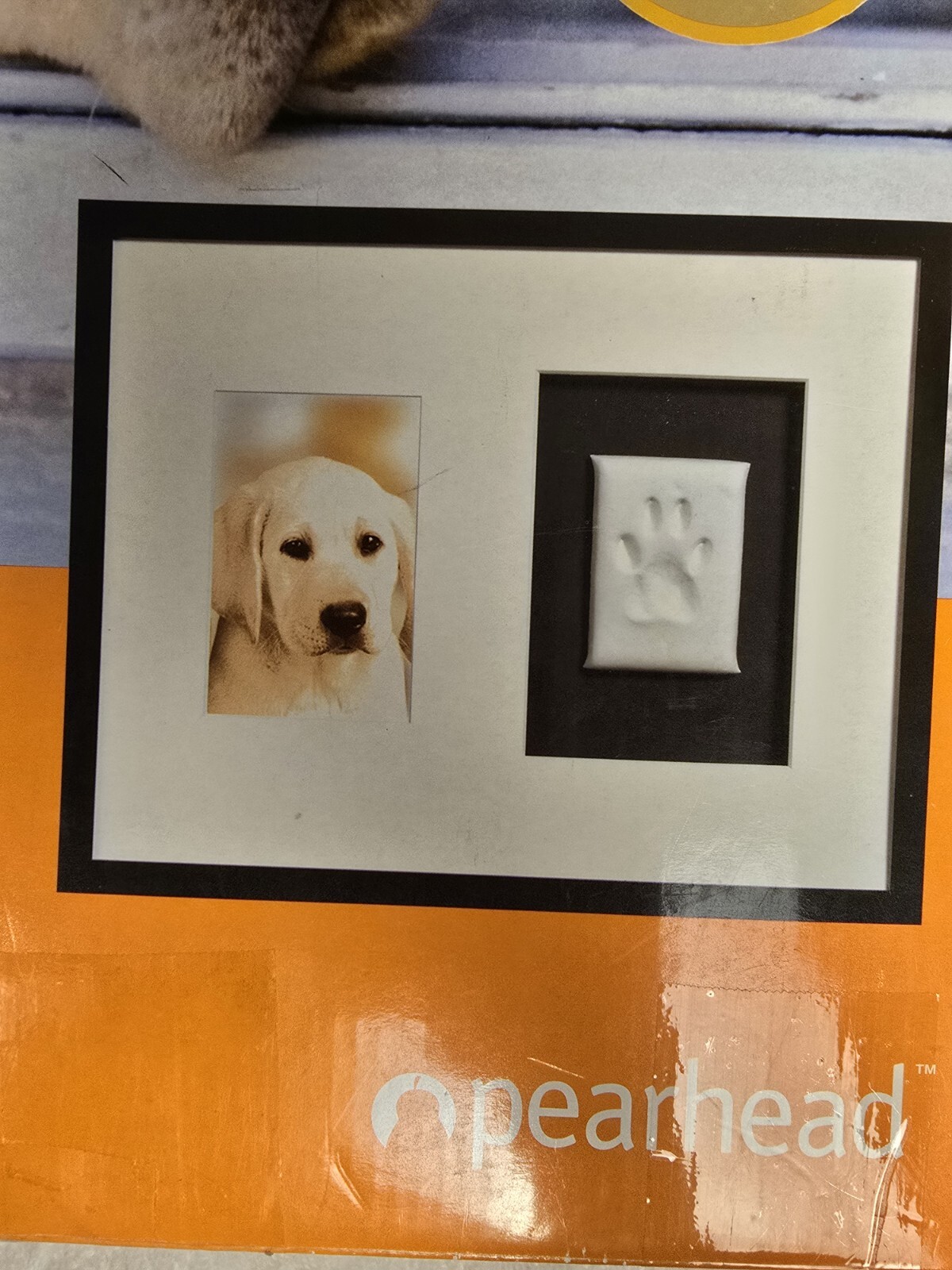 Dog Cat DIY Paw Print Impression Kit Natural Quality Frame 11 x 14 Pet Picture