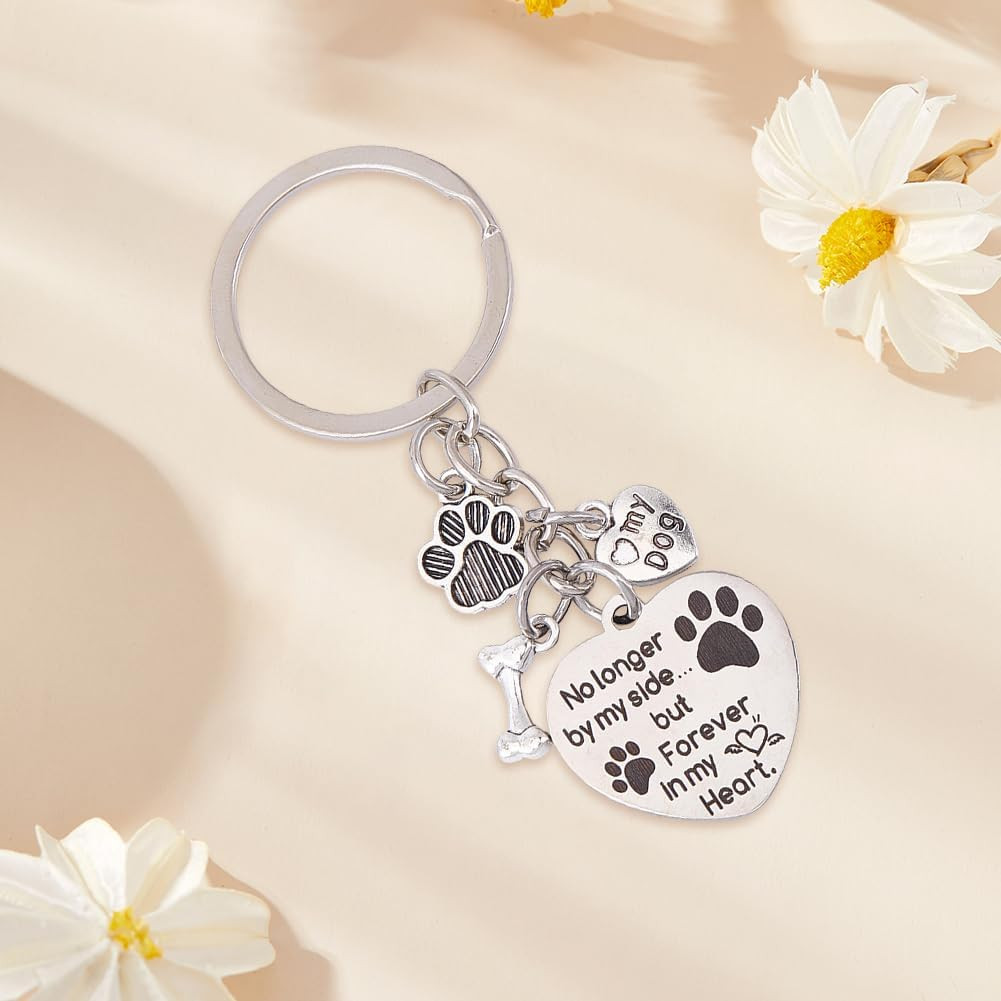 1 Box Dog Memorial Keychain Pet Memorial Gifts Silver Stainless Steel No Longer