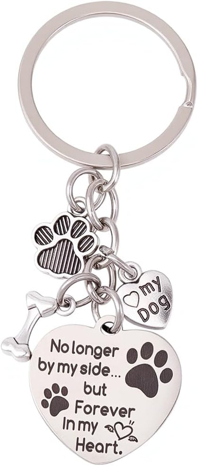 1 Box Dog Memorial Keychain Pet Memorial Gifts Silver Stainless Steel No Longer