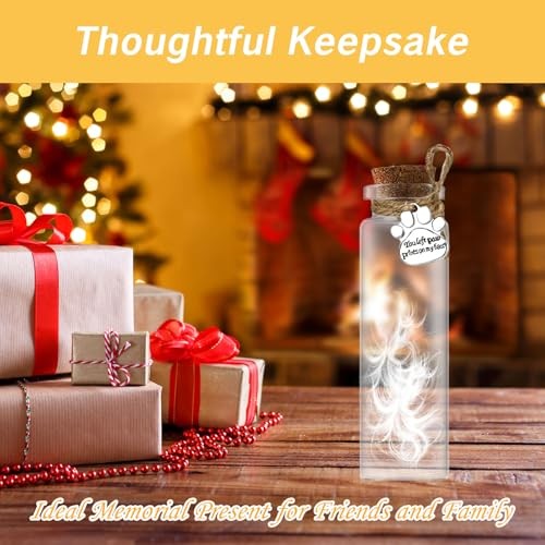 Hair Locket Keepsake for Pet Glass Vial – 1 PACK – Ashes or Cat Jar