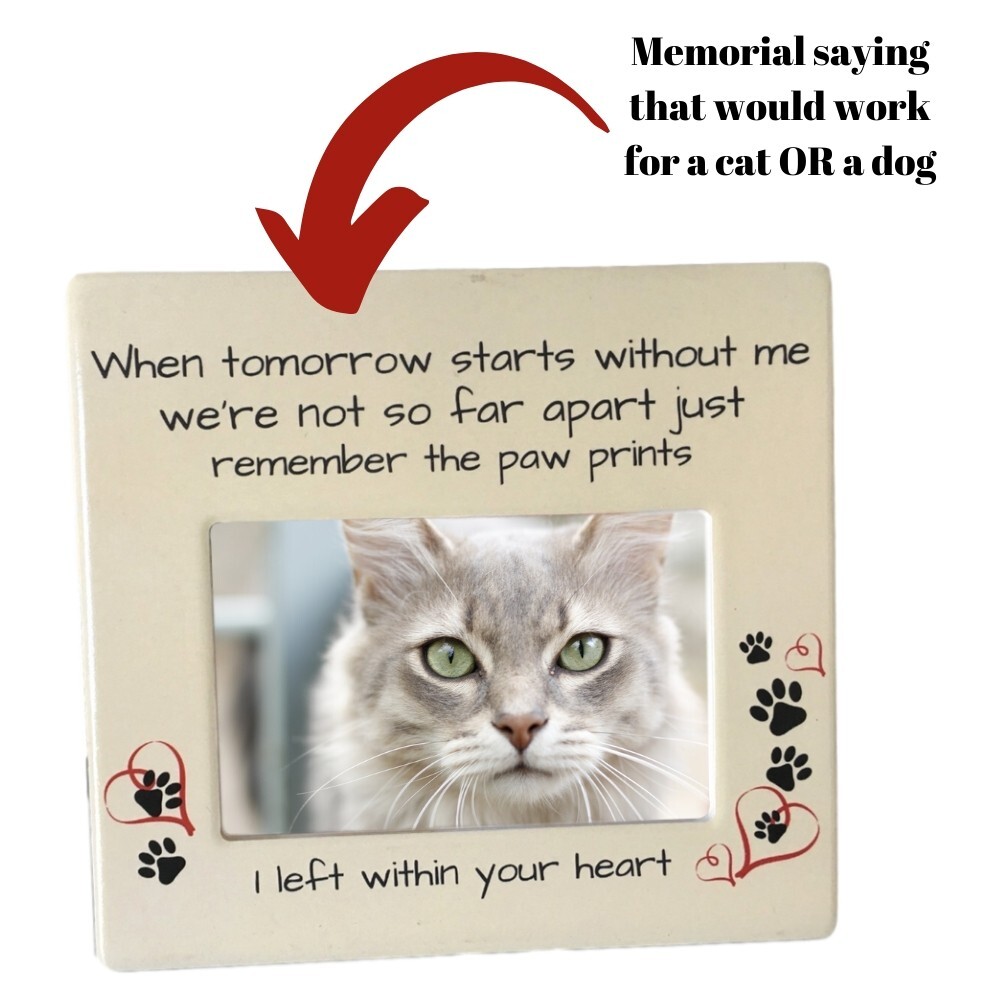 Pet Memorial Photo Frame – When Tomorrow Starts Without Me Sentiment #2379