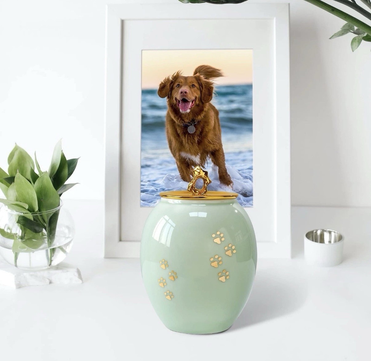 Medium Memorial Pet Urn Dog Cat Ashes Ceramic Pet up to 50LBS Gold Paw Prints