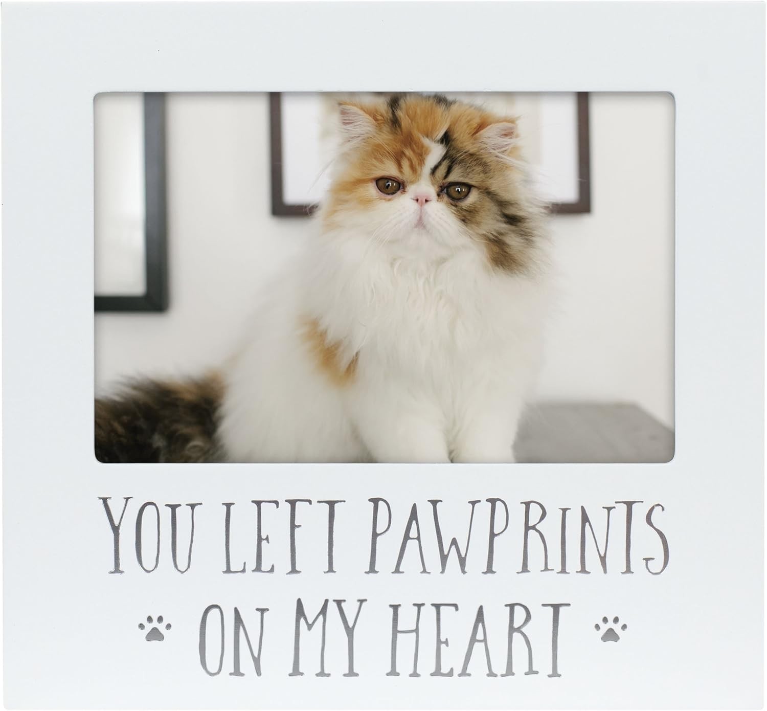Timeless 4×6 Pet Memorial Picture Frame – A Heartfelt Tribute to Lost Companions