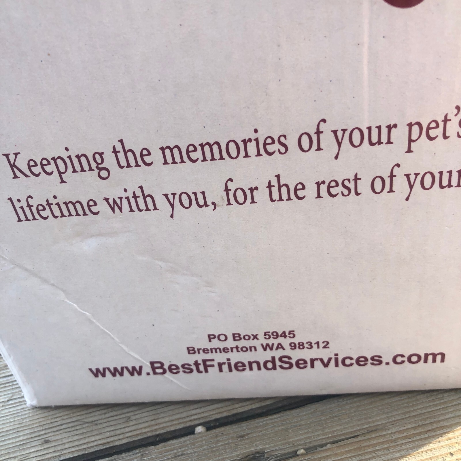 Pet Urn Ottillie Paws 9045L Large Memorial Dog Cat, Cloud White w/Pewter Paws