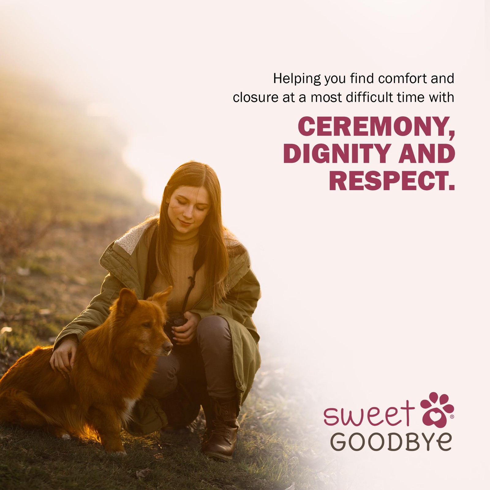 Sweet – Pet Ceremony Kit – For Dogs And Cats Choose Small Indigo