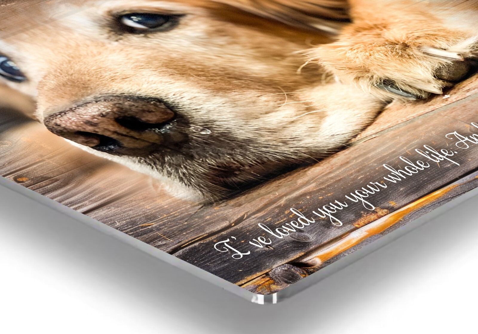 Personalized Pet Memorial Gift with Photo of your Dog Custom Metal Print
