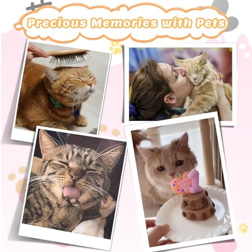 Pet Fur Memory Keychain – Cat Hair Keepsake, Waterproof Pet Memorial Charm Blue