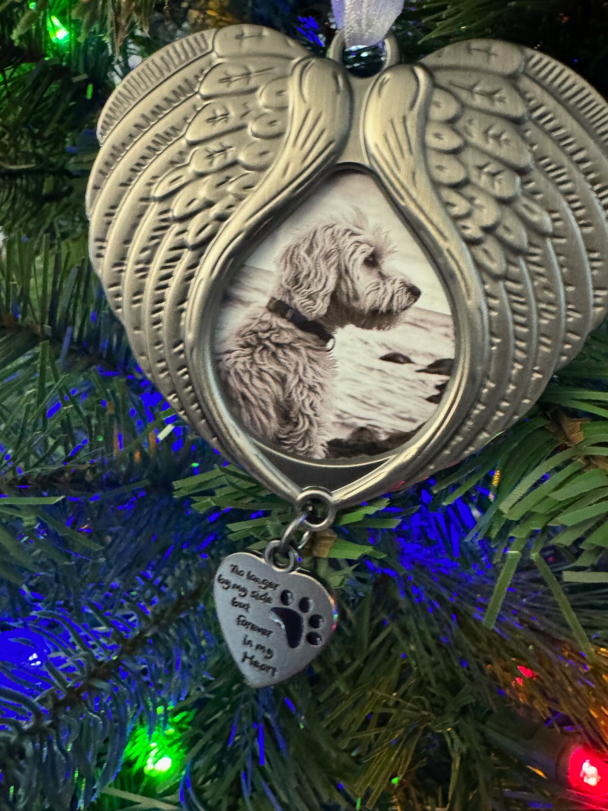 Pet Christmas Ornament W/ Photo Holder Angel Wing Memorial Rainbow Bridge Gift