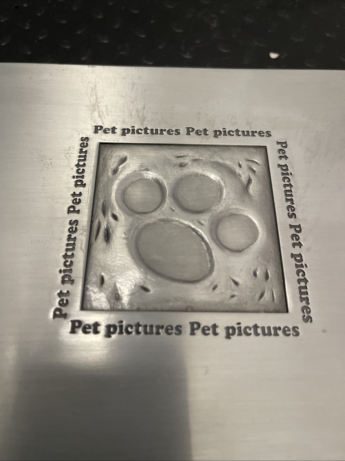 Metal Pet Pictures Photo Album Spiral Bound Silver Cover Holds 4×6 Photos