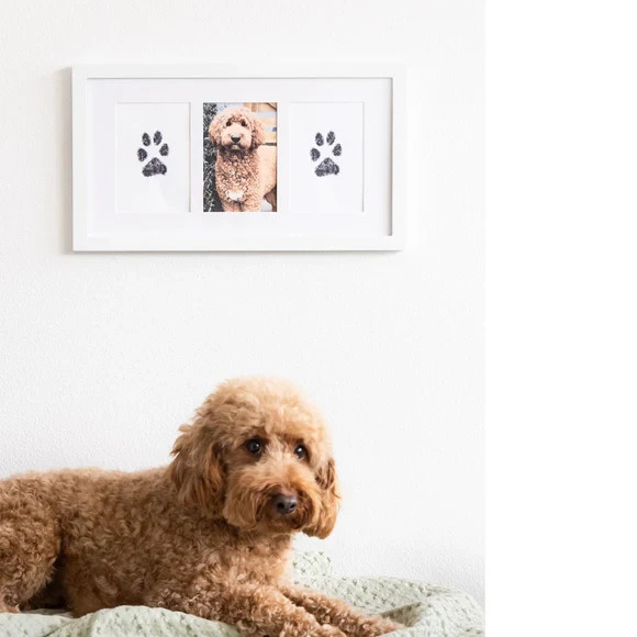Pearhead Pawprints 3-Opening Frame, Memorial Frame