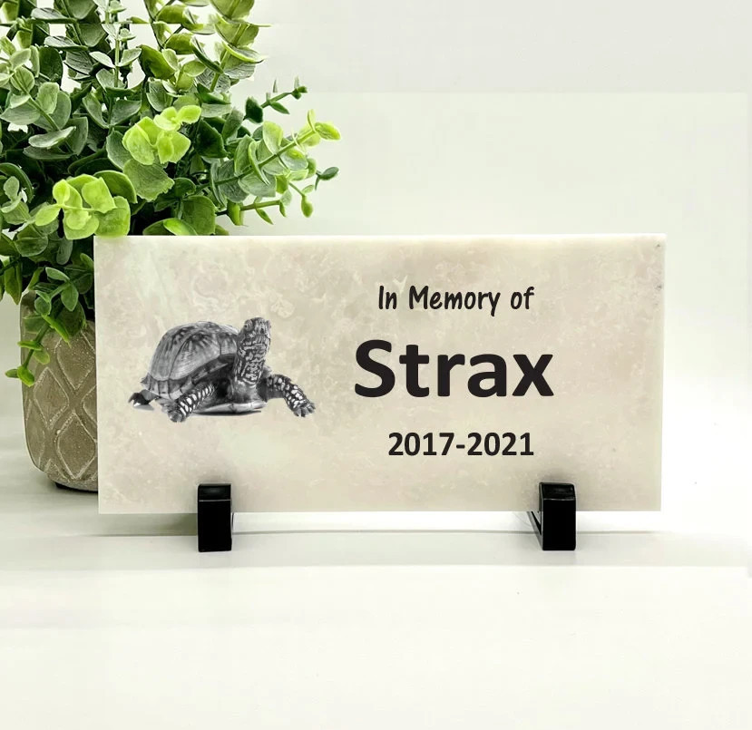Turtle Memorial – Personalized Pet Memorial Stone – Turtle Loss sympathy Gift
