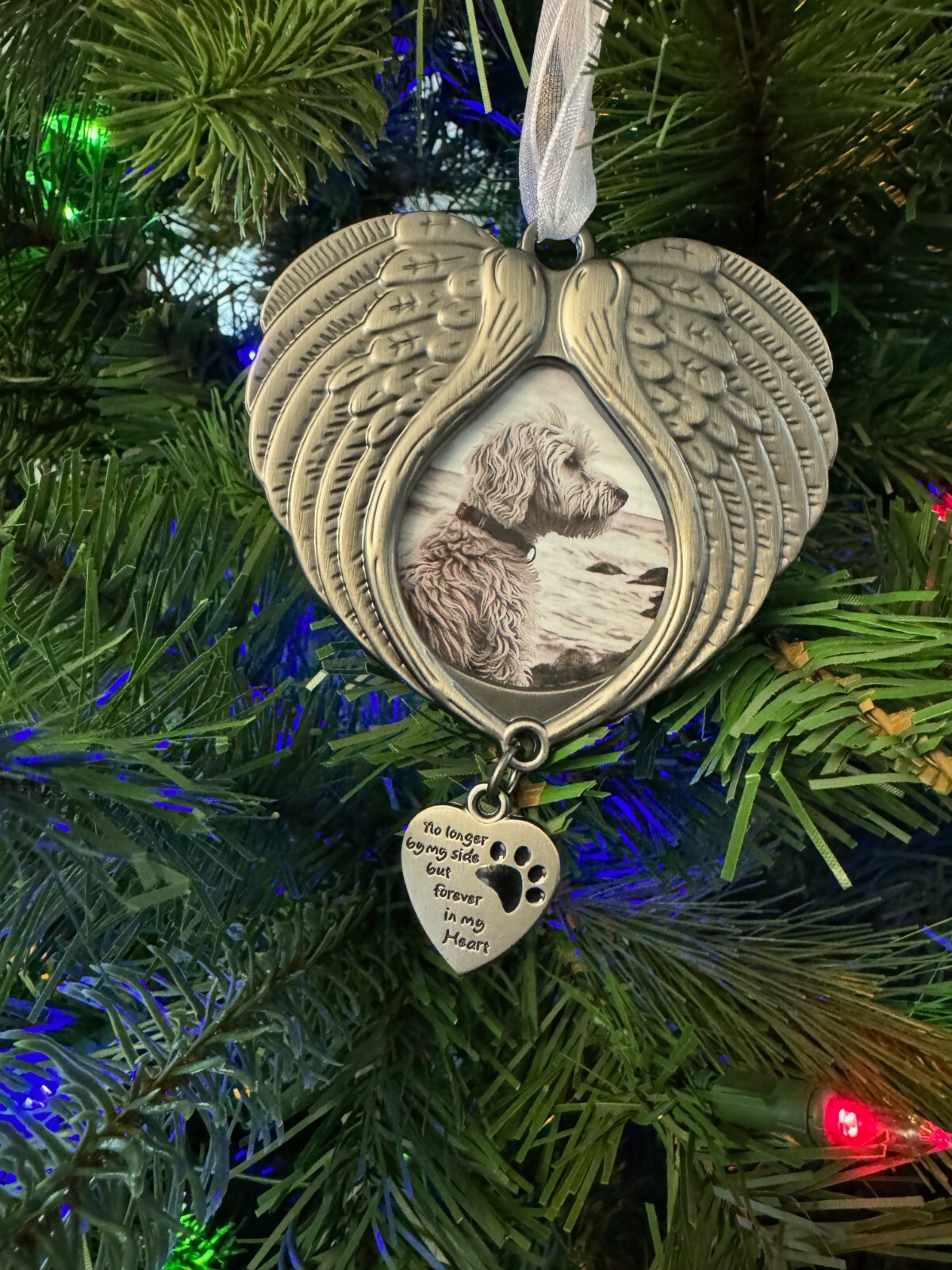 Pet Christmas Ornament W/ Photo Holder Angel Wing Memorial Rainbow Bridge Gift