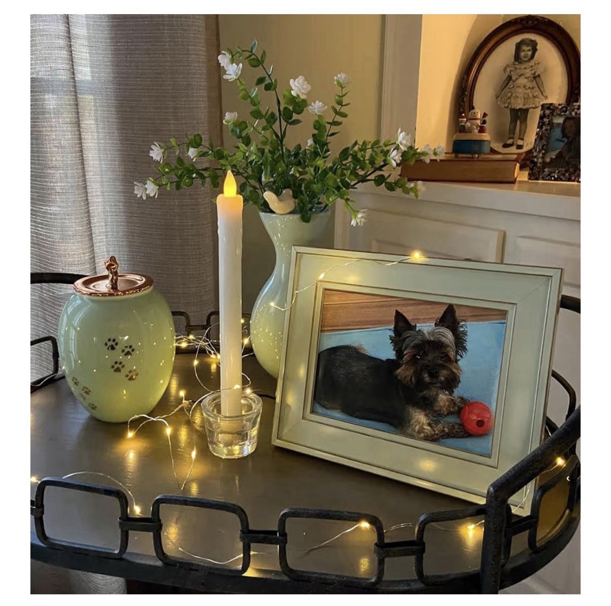 Medium Memorial Pet Urn Dog Cat Ashes Ceramic Pet up to 50LBS Gold Paw Prints