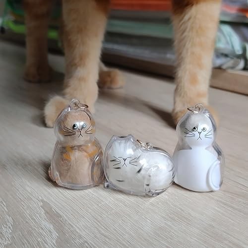 6 Pcs Cat Hair Keepsake Keychains – Pet Memorial Fur Holder