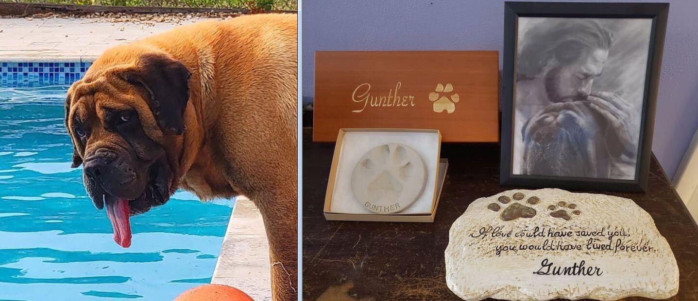 Pet Memorial Cemetery Stepping Stone PERSONALIZED Dog Cat Paw Print Grave Marker