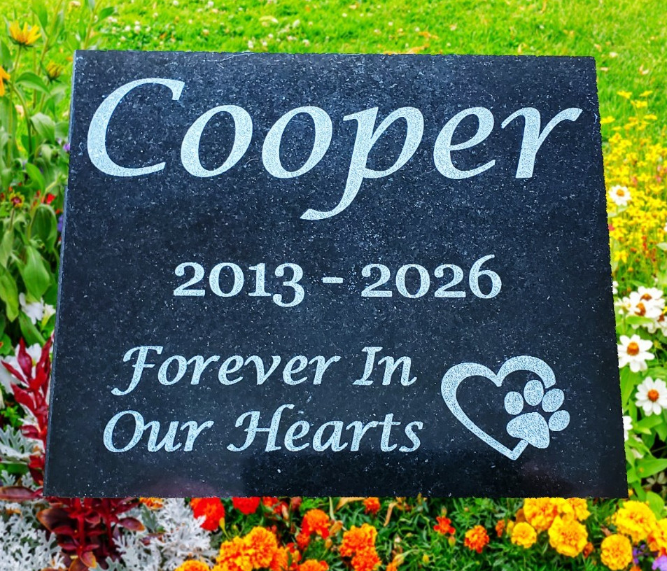 Granite Dog or Cat Pet Memorial Burial Grave Stone Garden Headstone Marker A3