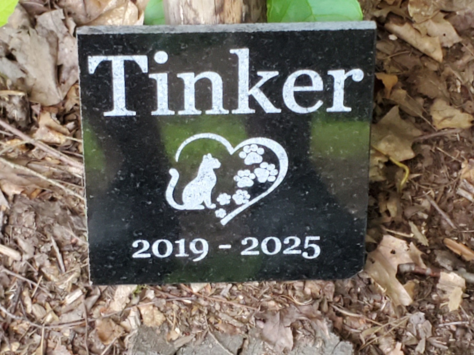 Cat Memorial Grave Stone Marker Pet Headstone Granite Garden Burial Plaque d7
