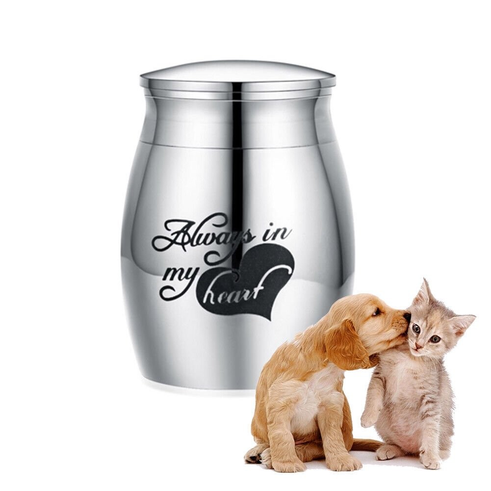 Small Cremation Urn Jar Holder Keepsake for Human Pet Ashes Memorial Funeral Box