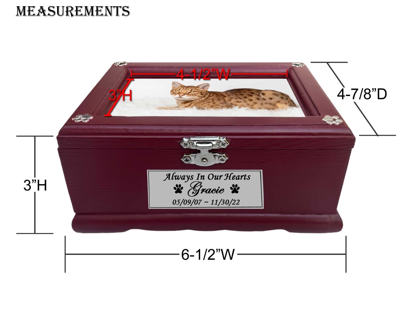 Small Pet Urn For Dogs or Cats, Picture Pet Urn, Engraved Pet Name Plate,