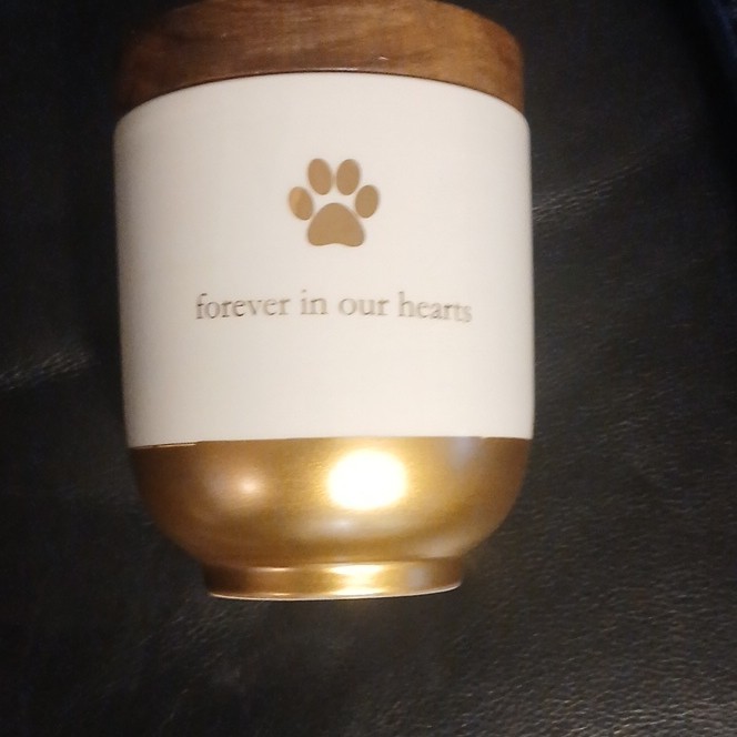 Pearhead Ceramic Pet Memory Jar Urn “Forever in Our Hearts” 10114HD
