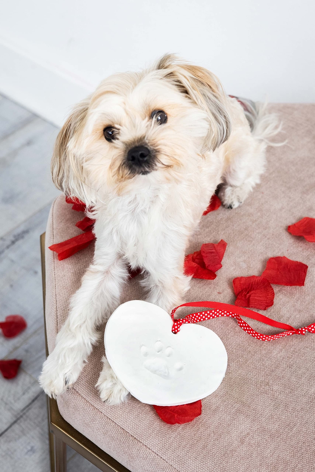 Pearhead Pet Pawprint Clay Heart Keepsake Kit, Pet Valentines Day Gifts for D…