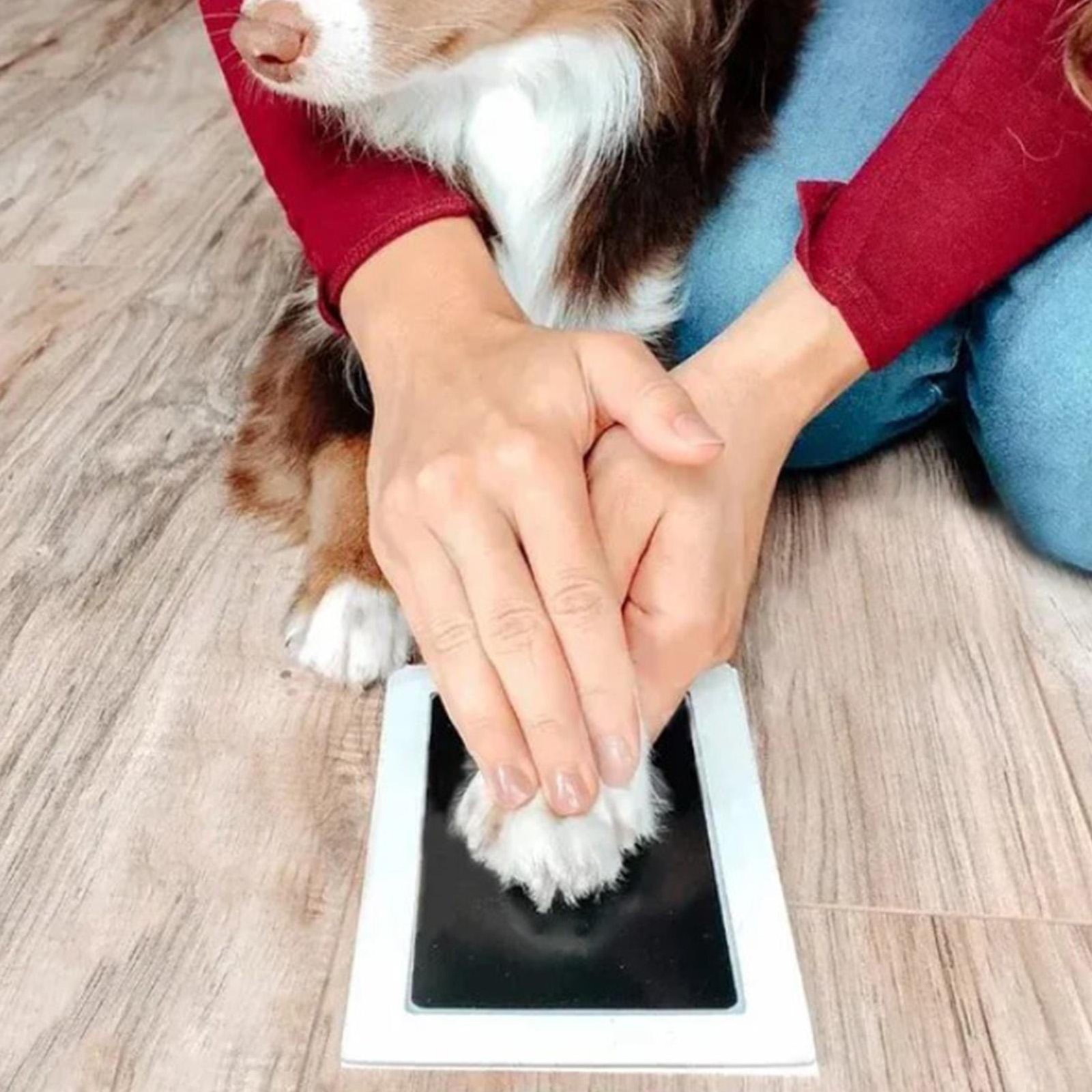 Pet Paw Print Kit – Paw Print Pad – Non Toxic Ink Pad for Pets – Cats and Dogs